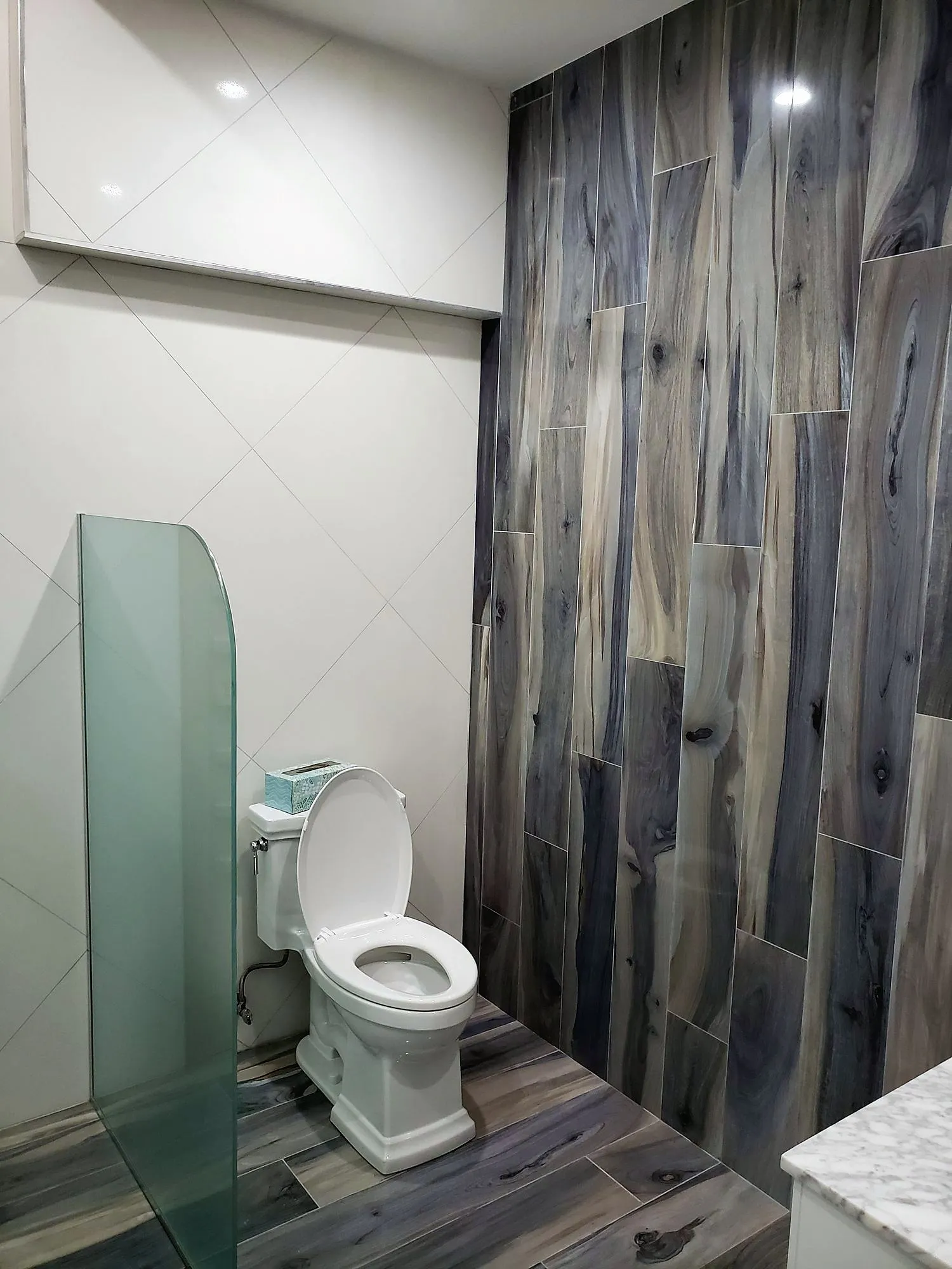 Bathroom with wood-look plank tile on the floor and a full feature wall